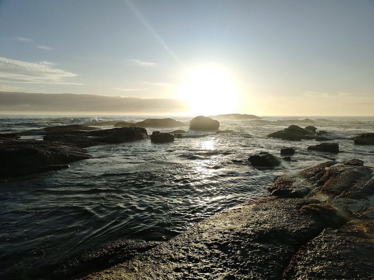 Spent the week on trains collecting cars...

What I wouldn't give to be sat back in Camps Bay having a beer and watching the sun set...

#southafrica
#campsbay
#capetown