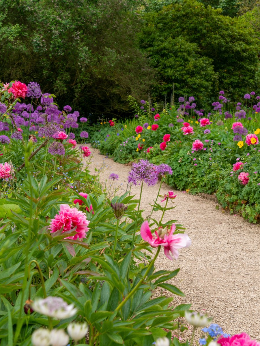 Gloriously vibrant, the peonies @HidcoteNT know how to bloom in style.