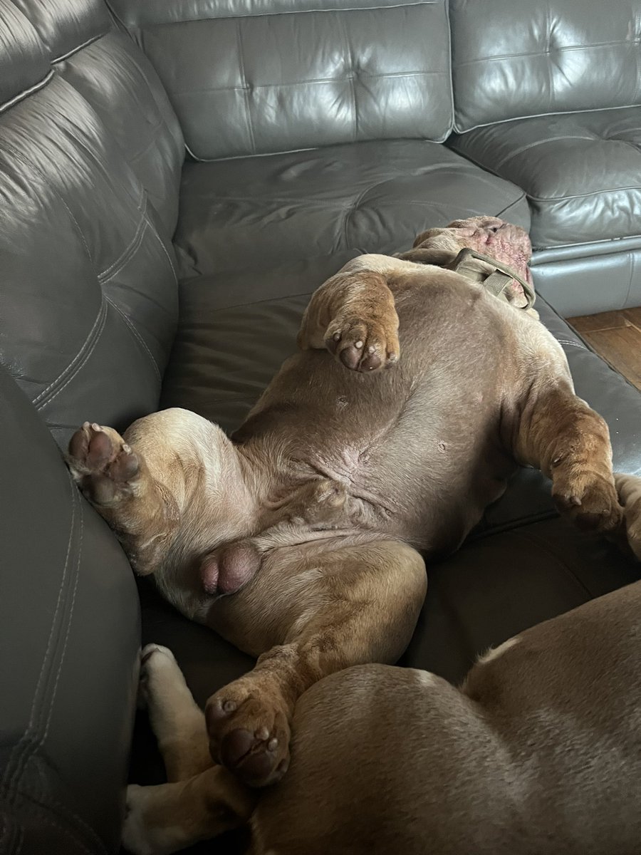 john james williams tweet media