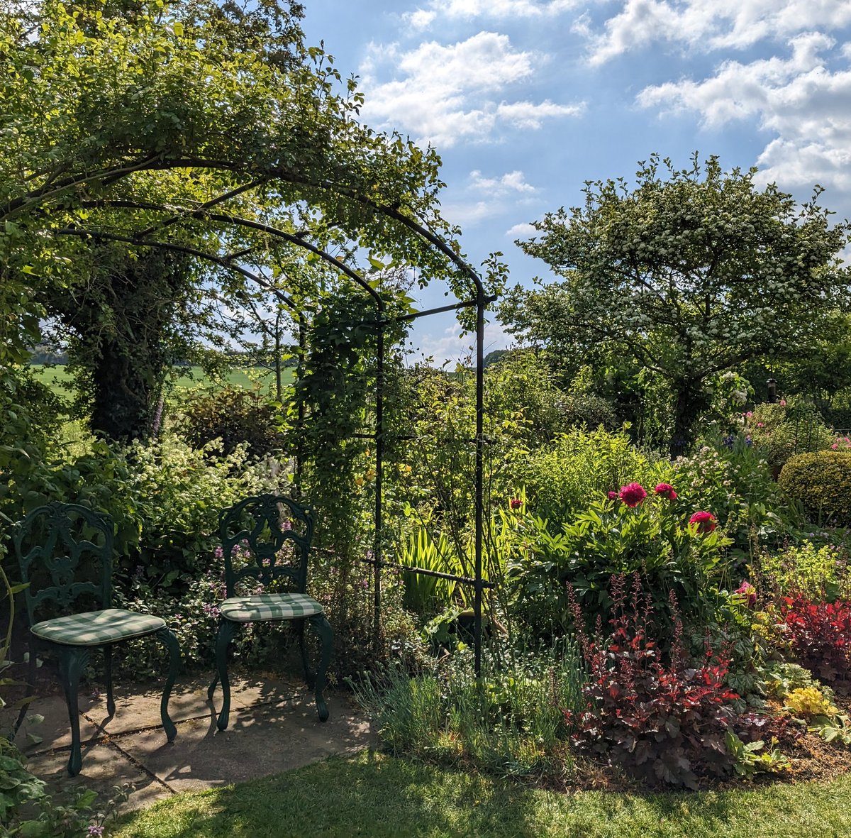 sibylla_3's tweet image. Thank you #Froyle #Hampshire for hosting a terrific @NGSOpenGardens afternoon. Scrumptious gardens and coffee cake  #greatgardensgreatcake