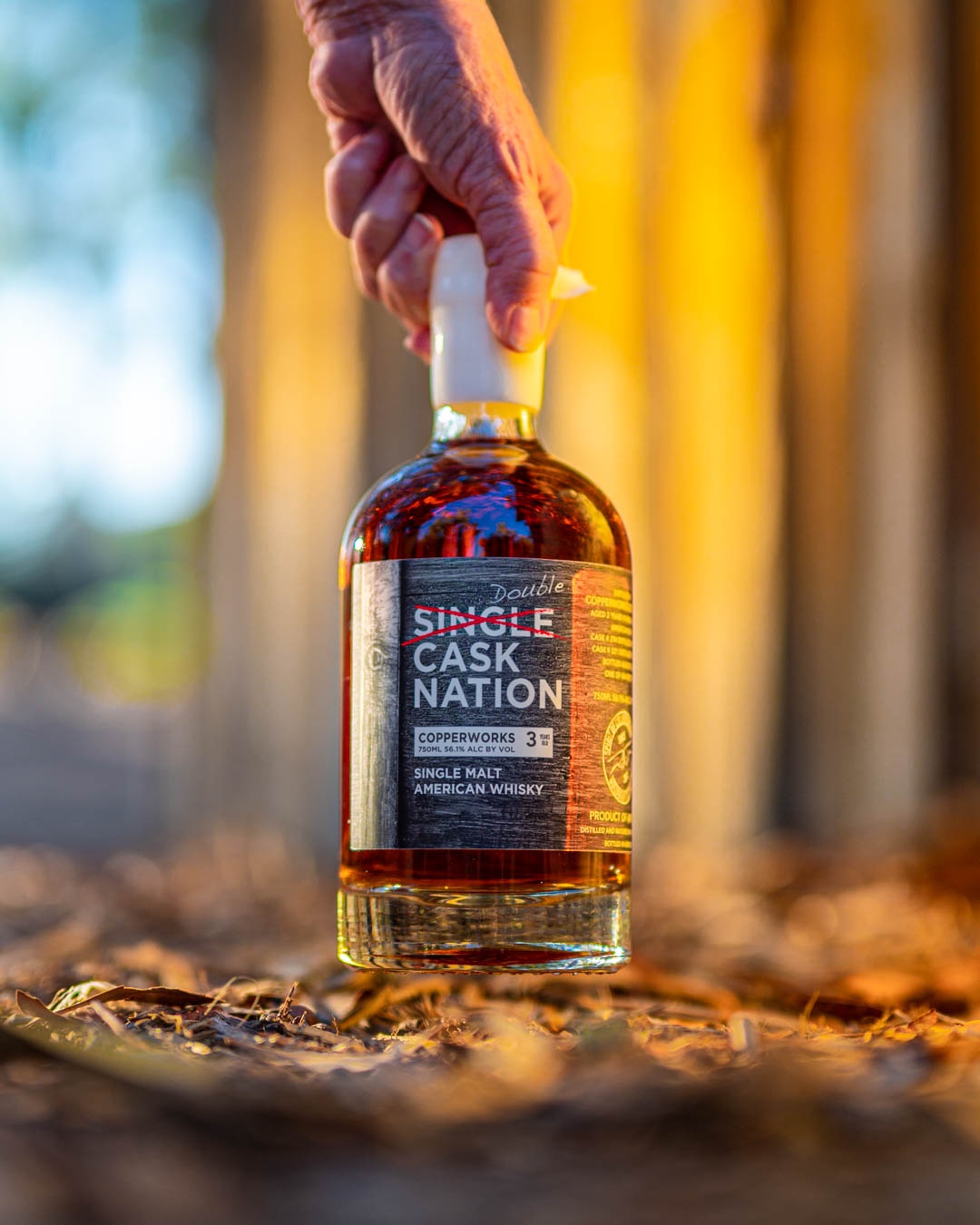 Single Cask Nation Girvan 14 Year | First Fill Spirits