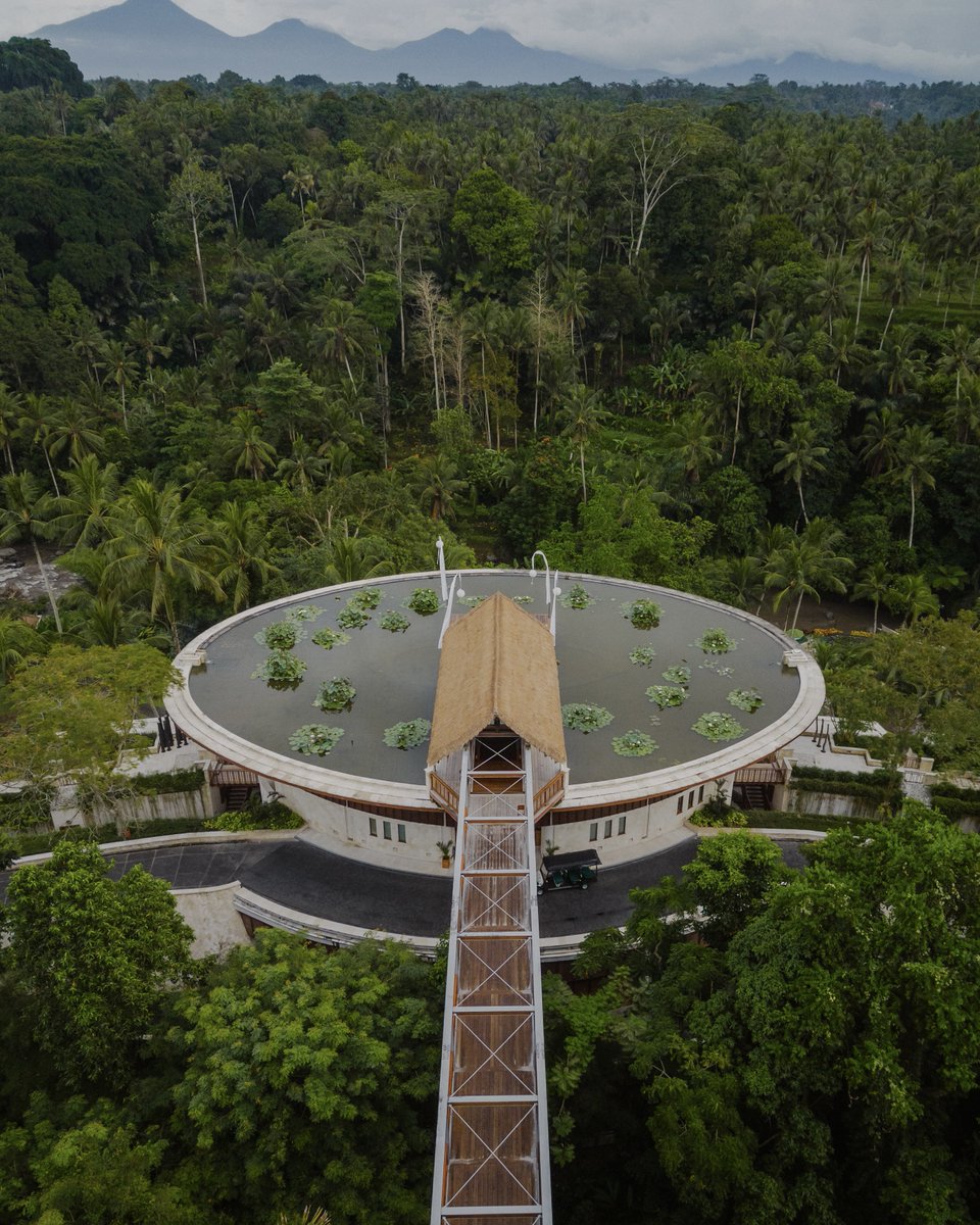 JustinTse's tweet photo. My first time in Bali, at the beautiful @FSBali Sayan Villa Resort #FSJet
Voted top hotel in the world in 2018! https://t.co/dyXnCMpaLa