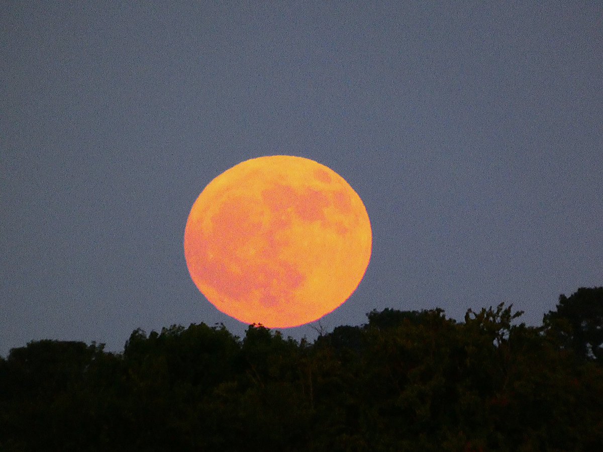 Watching the #StrawberryMoon rise in London just now. What a cracker! @StormHour @ThePhotoHour @MoonHourSocial #MoonHour #FullMoon #astrophotography #astronomy