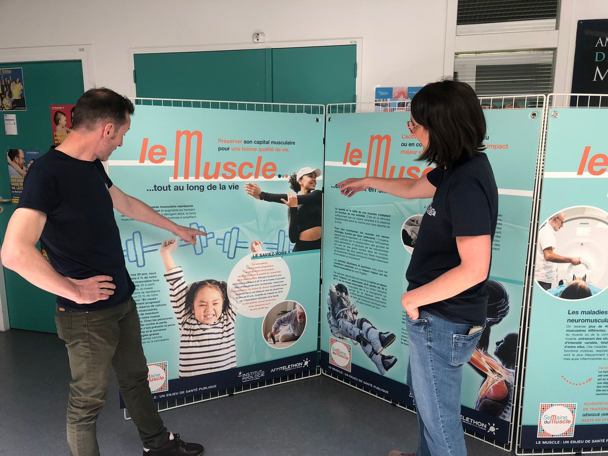 #SemaineDuMuscle Ravis de vous accueilli en nombre pour la visite de nos labos aujourd'hui durant la Journée Portes Ouvertes de l'Institut pour une immersion au cœur de nos activités transversales autour du muscle. Merci à tous nos visiteurs ! <a href="/SemaineDuMuscle/">Semaine du Muscle</a> <a href="/Telethon_France/">AFM-Téléthon</a>
