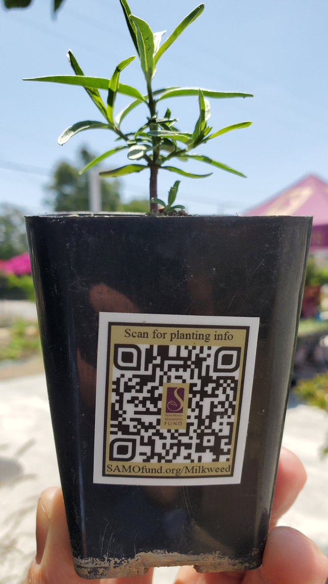 The next @samofund Milkweed giveaway is next Saturday at the #LARiver Center in #CypressPark! Scan the QR code below to register and for more info!