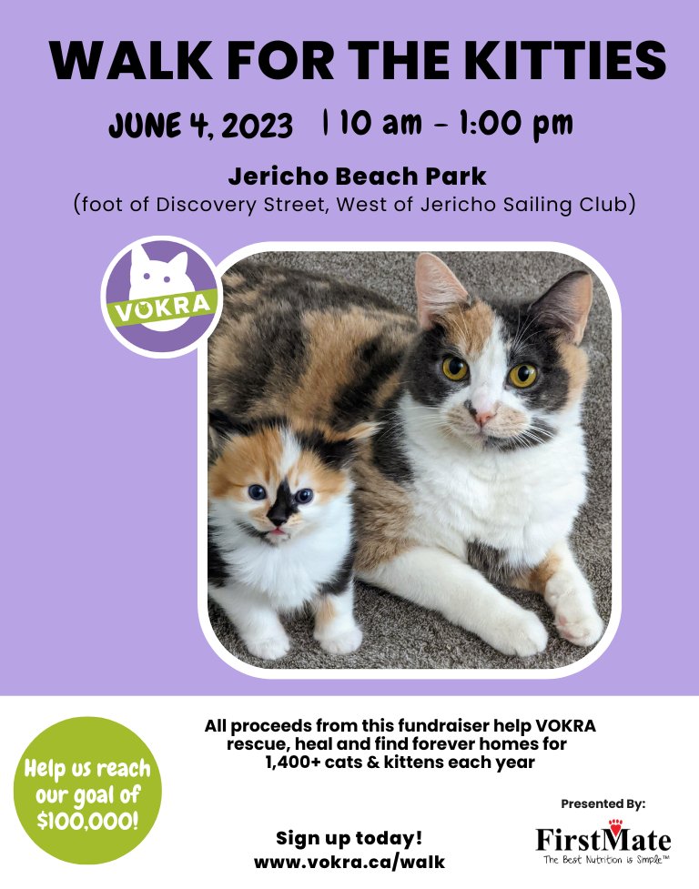 VOKRA - Vancouver Orphan Kitten Rescue Association tweet media
