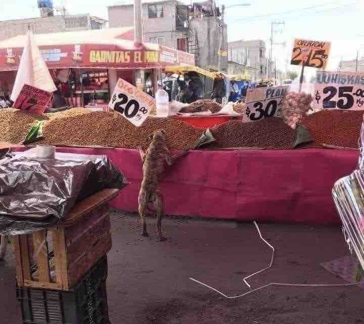 Guarromantico_'s tweet photo. Está bueno el buffet. https://t.co/gB2bAan1CV