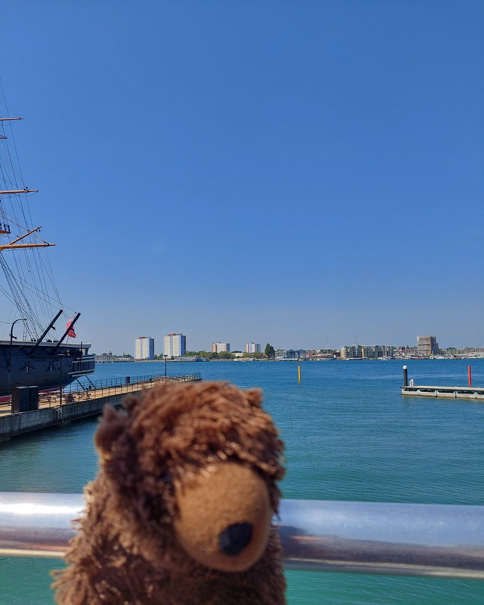 AdventuresOfBear tweet media