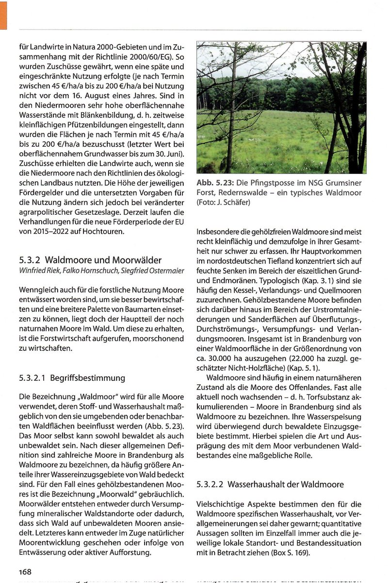 Waldbodentyp's tweet photo. @NaturwaldAk Dazu passend: Unser Beitrag 'WALDMOORE UND MOORWÄLDER' in Luthardt &amp; Zeitz (Hrsg.): Moore in Brandenburg und Berlin.
Die Zusammenhänge zwischen dem Wasserhaushalt von Waldmooren und der Waldentwicklung werden hier differenziert dargestellt.
#Waldmanagement #MoorMussNass https://t.co/XZtKRy6ujX