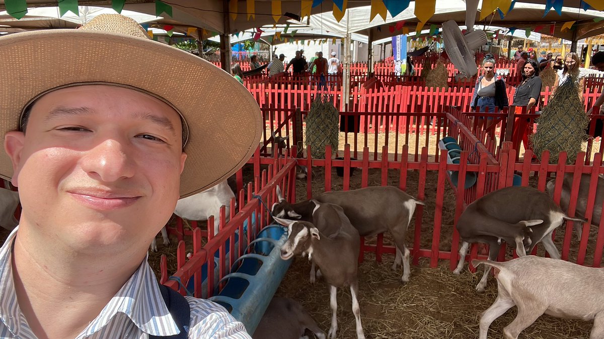 Toggen com Toggens :)