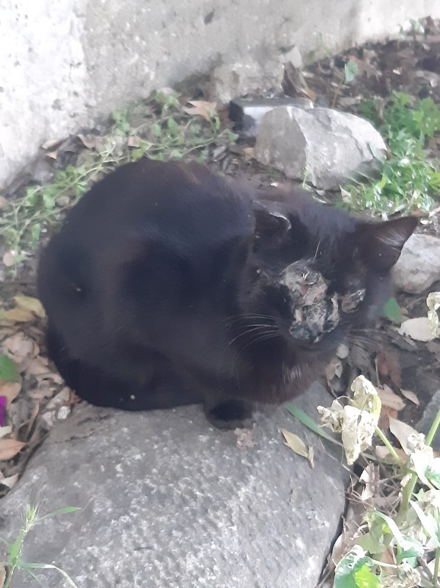 TÜMYAD (@tumyad4) on Twitter photo 