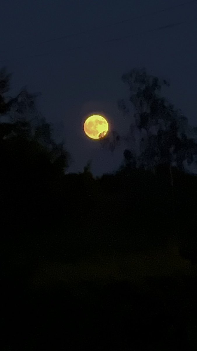 Who’s got the cream?

Strawberry Moon.
