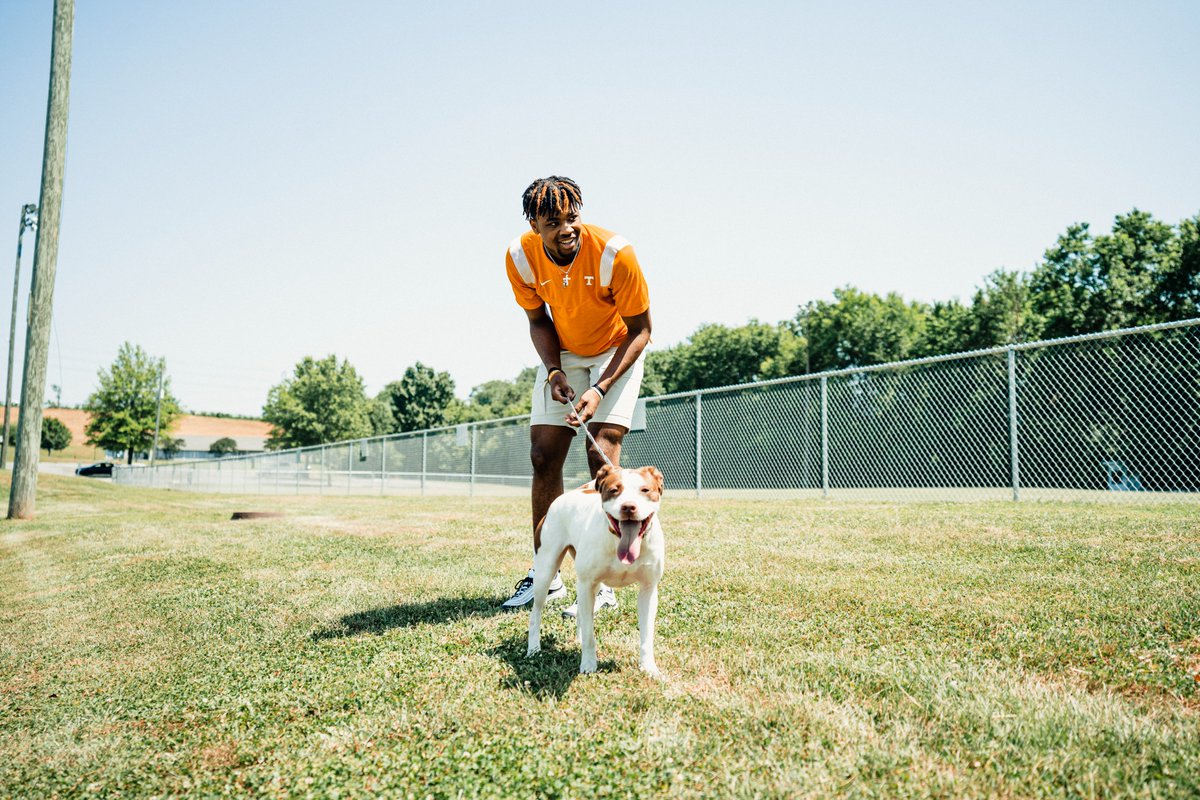 Vol_Football tweet picture