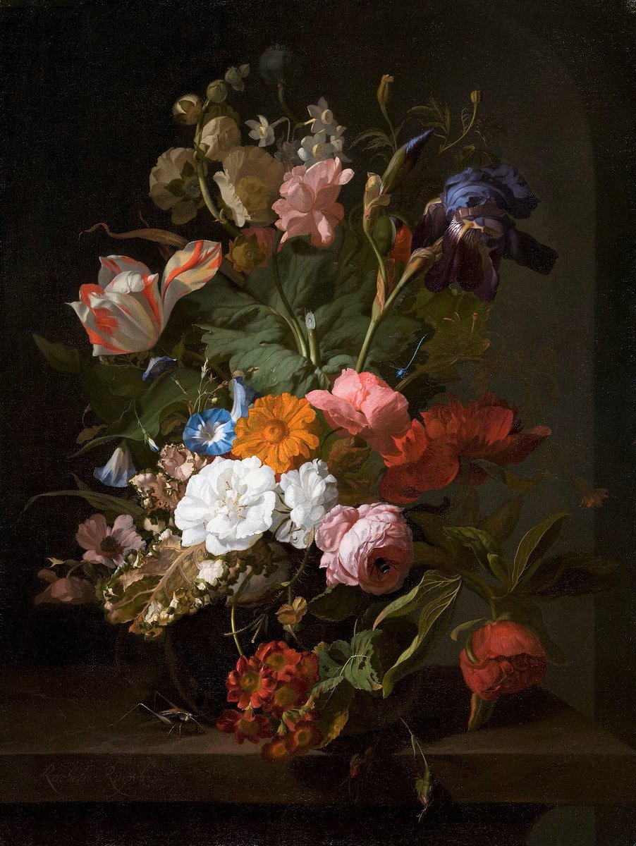 As vivid &amp; fresh as if they'd been cut, and painted, this morning in the garden: flowers in a glass vase by Rachel Ruysch, 1700. Today was her birthday.