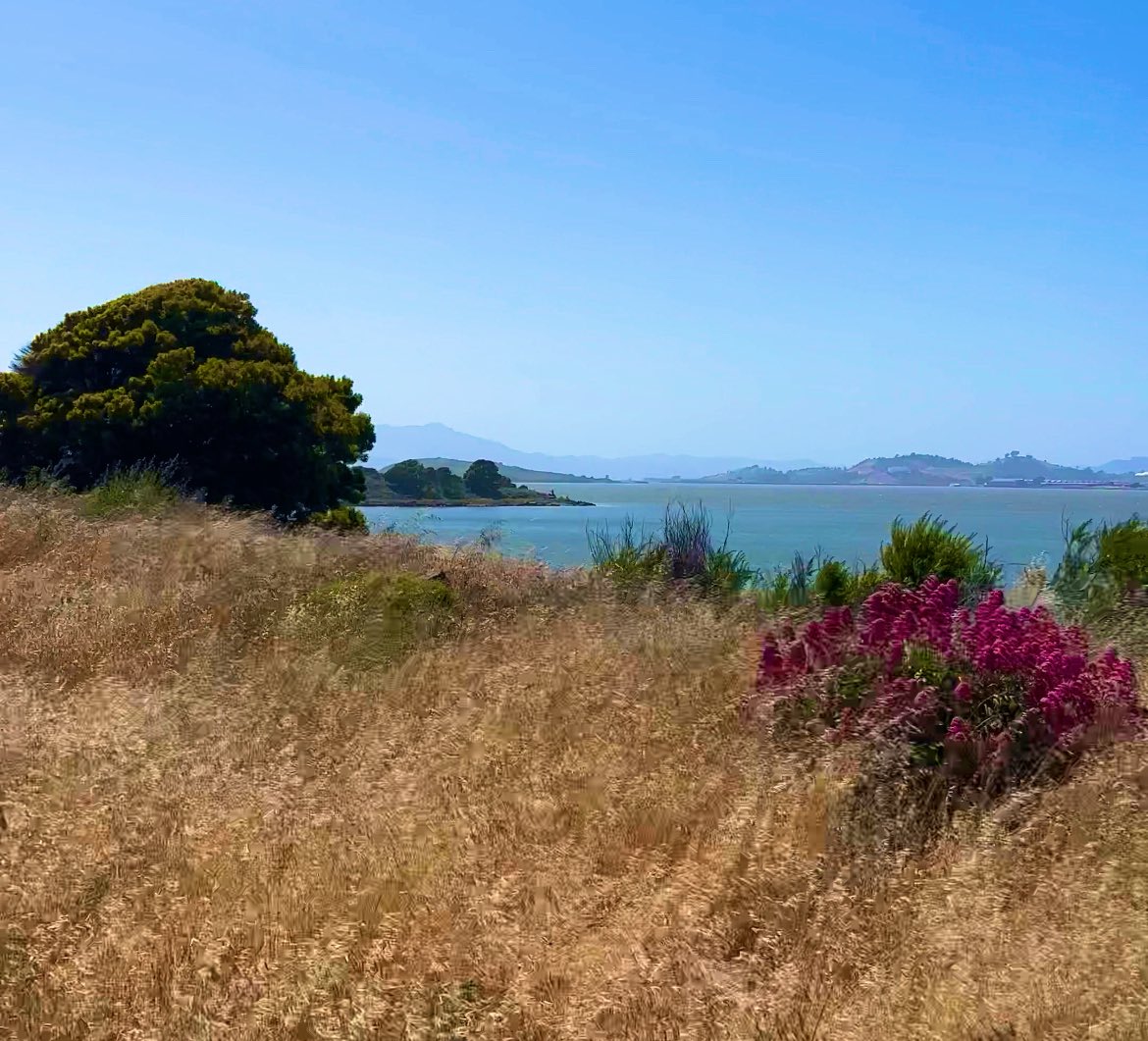 Can’t remember if I said so here, but we moved to Berkeley, CA and it is nice here. Finishing up the PhD &amp; will be figuring out what’s next over rest of the year. If you know cool peeps in the area who care about #sustainabletransport, #airquality, and #greenspace, let me know!