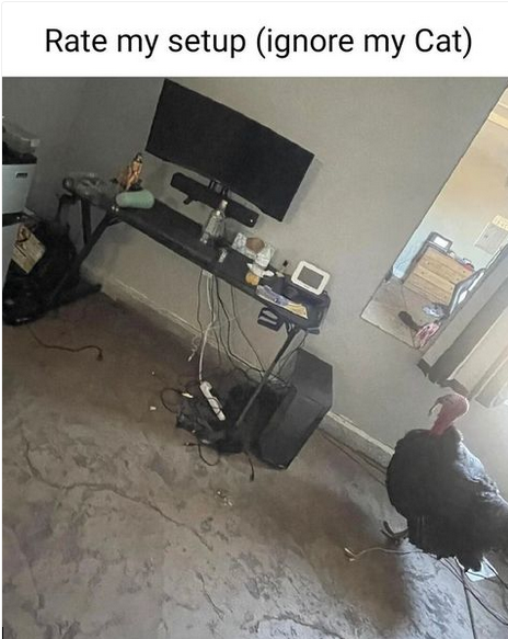 EverythingOOC's tweet photo. https://t.co/yNLyvXRurO