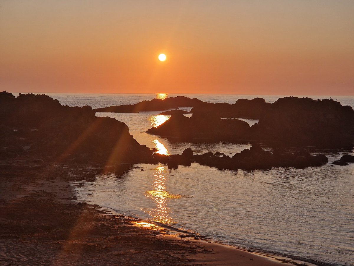 Emer O'Connell tweet media