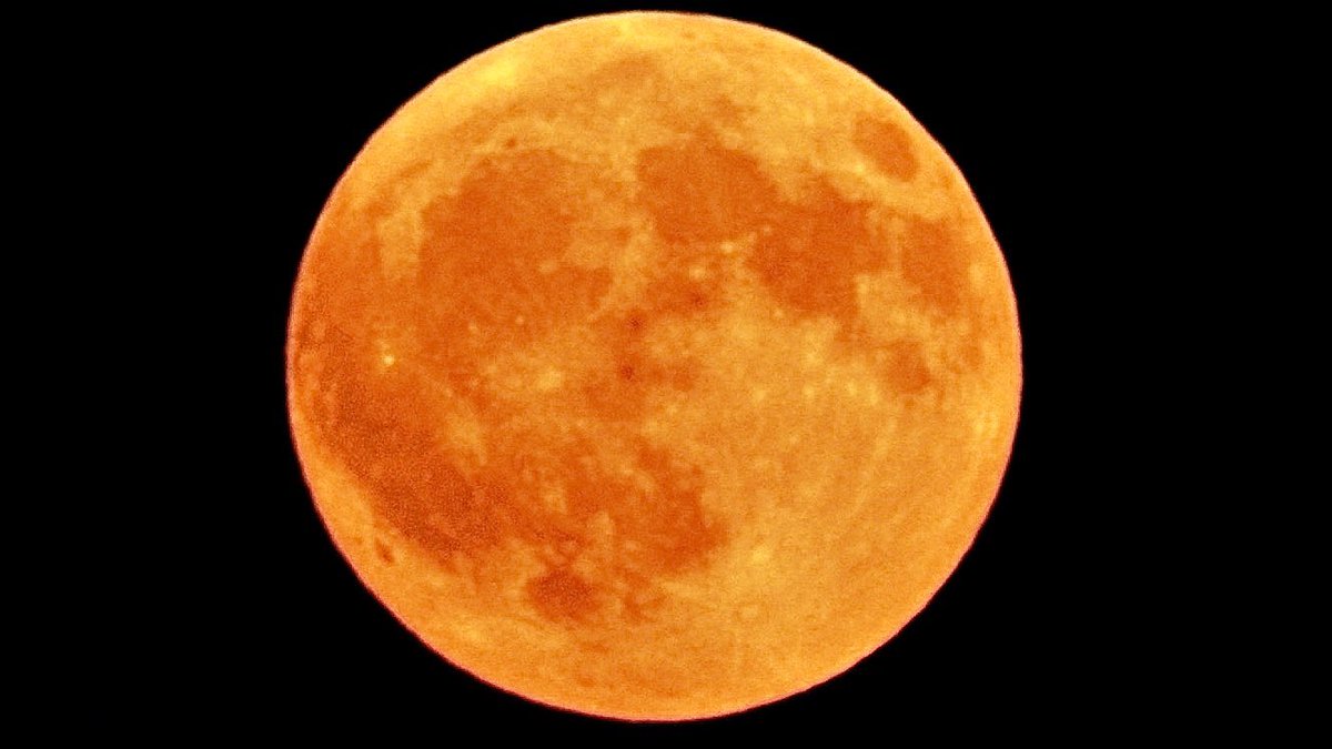 stphotography99's tweet photo. Saturday nights Stunning Full Moon @BBCLookNorth @bbcweather @Hudsonweather @Abbiedew @KeeleyDonovan @katerinabbc @WakeExpress @WkfdOfficial @journoLeanneC @Expwakefield @Normanton0809 @WakeyAmbassador https://t.co/Nf3fvXJIu1