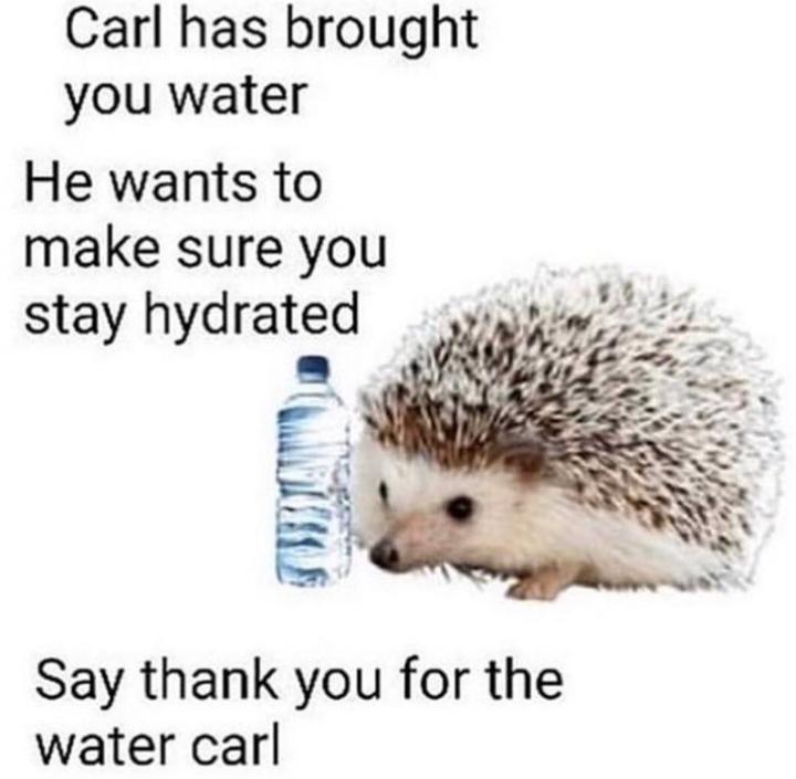 _tymeka_'s tweet image. 