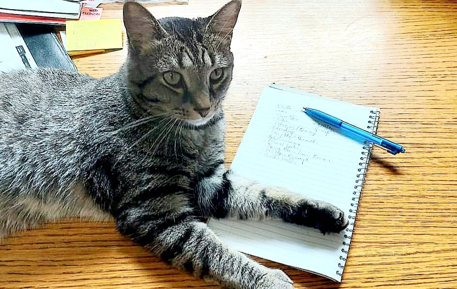 This table is mine. That should be obvious by now!
youtube.com/@BobbyKat
#WritingWithCats