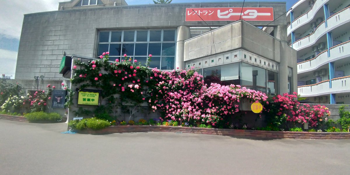 matatapi_mn5607's tweet photo. 八ヶ岳登山でしょうか？良いですね！二週間前に聴いた『同じ時代』は感動したなぁ...そういえばマッシーさんと洋食屋さんの話しさせて頂きましたが上手く答えられなかった🤣

そんな中、新たな美味しい洋食屋さんを発見しました。雰囲気の良い梅蔵とランチおすすめのピーター、Ｊ&amp;Nにも行ってみよう https://t.co/ZKdvGQcite