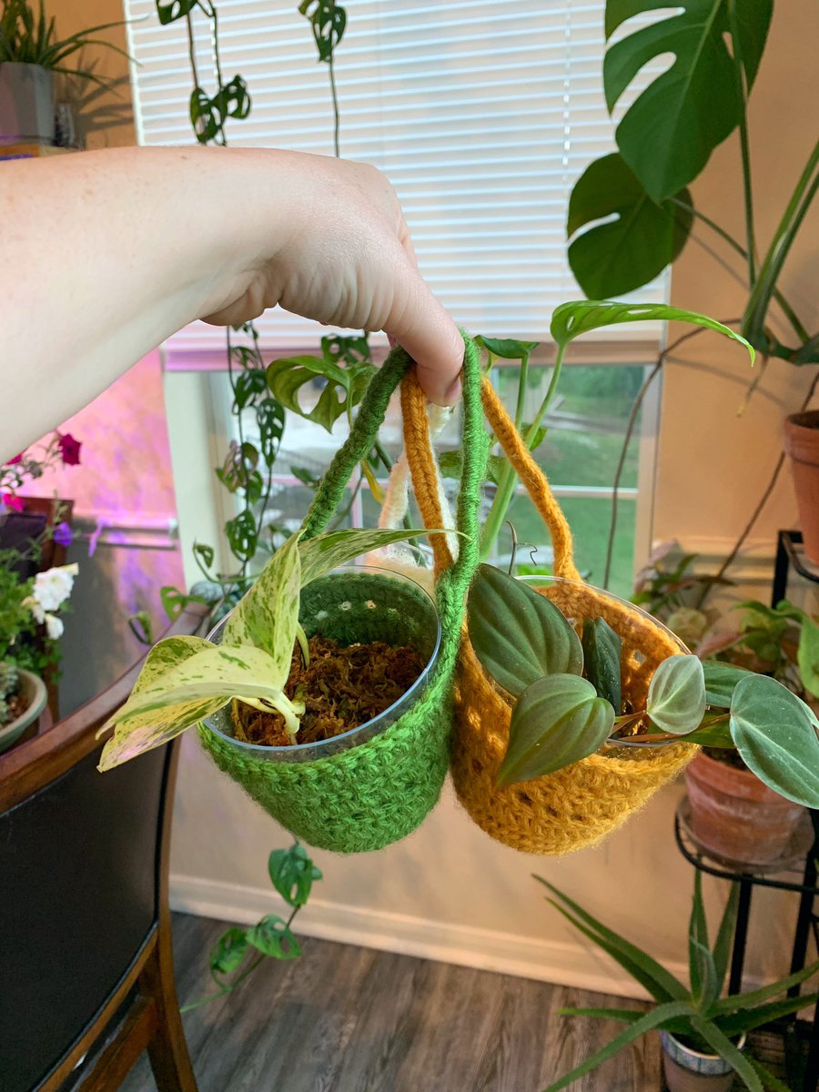 Combined two of my recent obsessions and made these mini plant hangers 💕🪴🧶