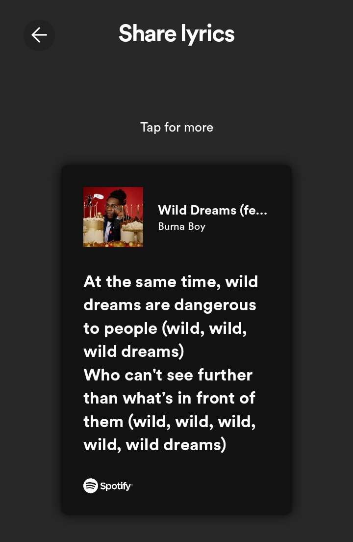 Burna Boy - Wild Dreams: listen with lyrics