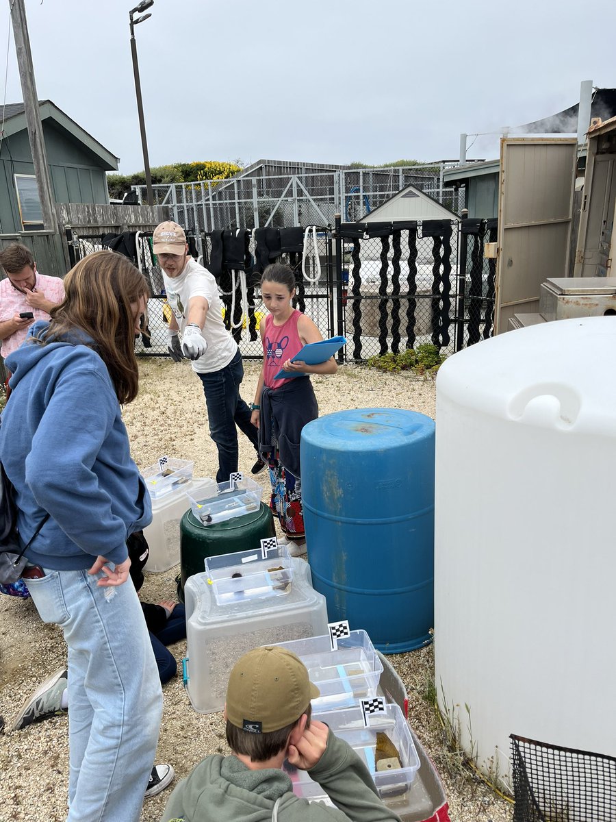 Riley Blue tweet media