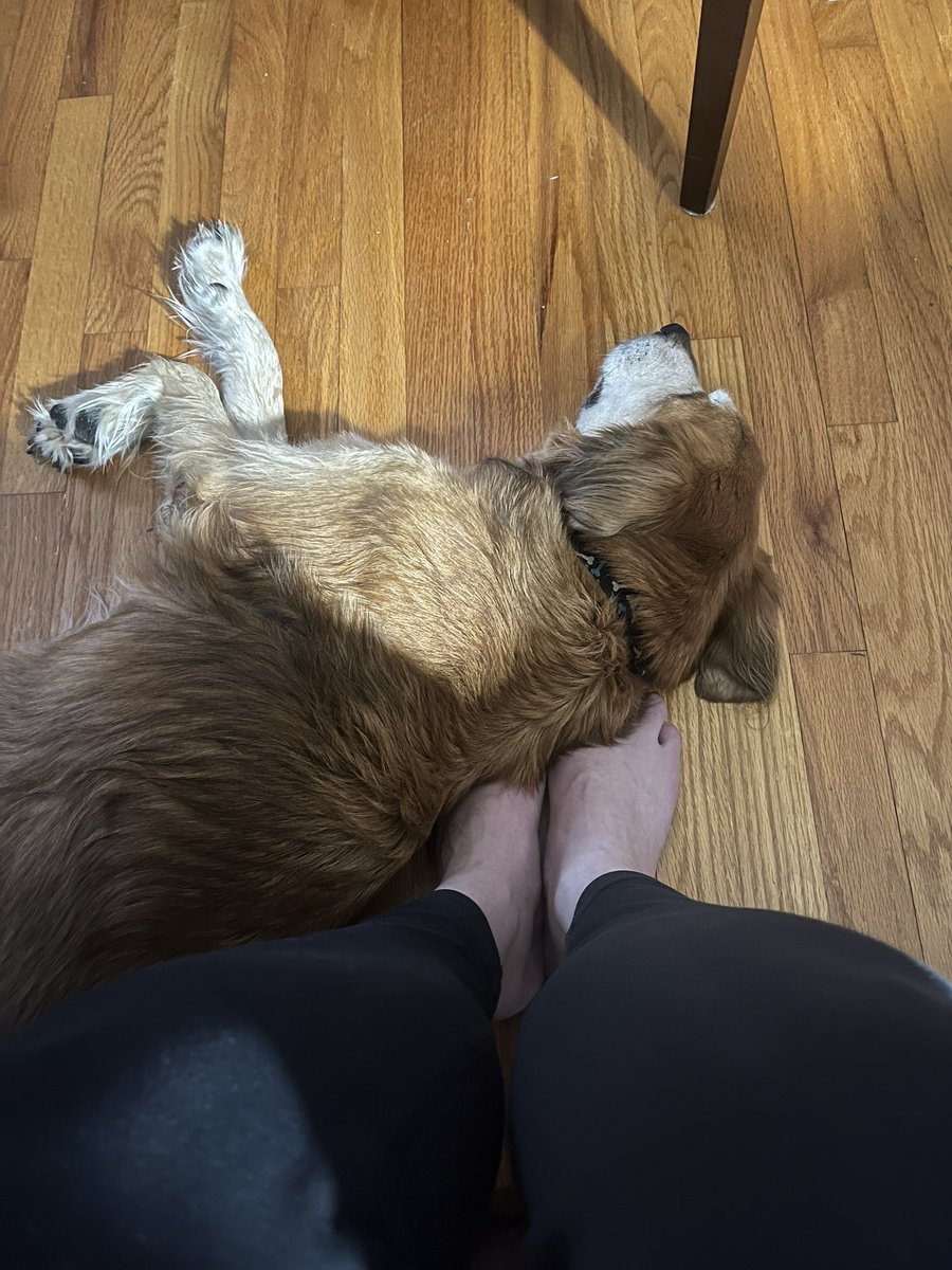 Sarah Wilbur tweet media