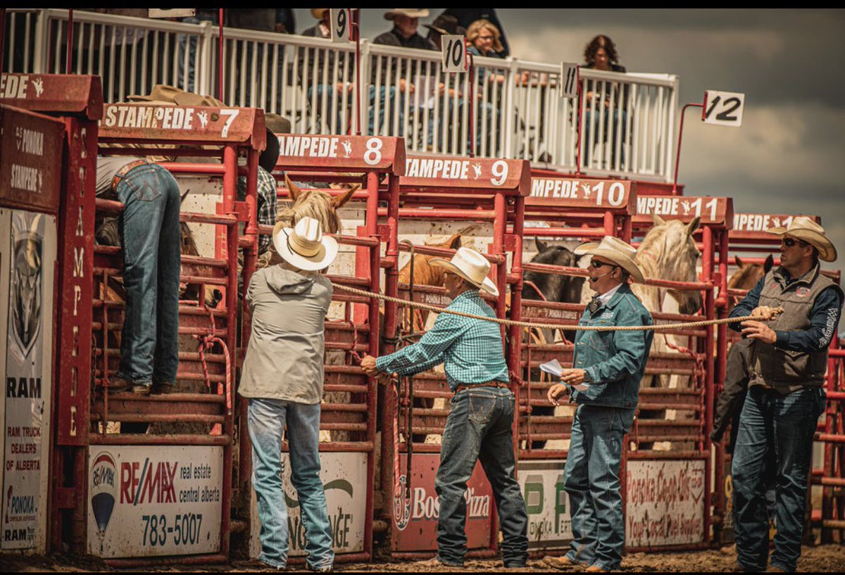 Own a piece of Ponoka Stampede history. Our famous Ponoka Stampede Bucking Chutes will be for sale at Allan B Olson auction starting June 16 in Cattle Handling Ring Lots 529y to 535y. Visit allenolsonauction.com for more info!