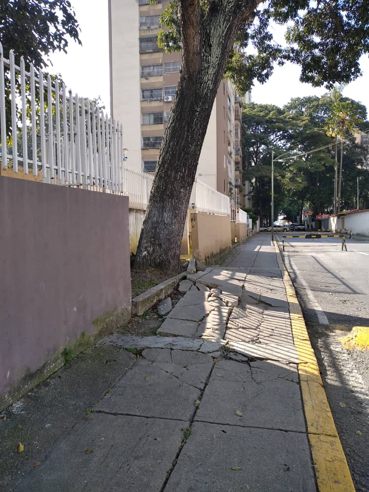 MaiiGaby's tweet photo. @Corp_libertador @AlcaldiadeCcs @Supra_Ccs @gestionperfecta Árbol en riesgo de caerse en la Calle Sanabria, con avenida Los Samanes. Frente a la comandancia de la Guardia Nacional, parroquia El Paraíso. #Peligro https://t.co/lAJU7zbdks