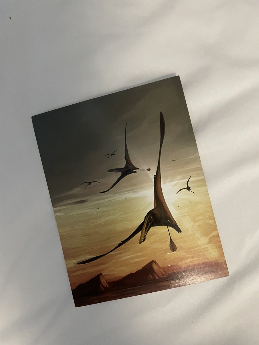 alexrosemcc's tweet image. Finally back home after a very fun few days in Liverpool at my first conference @ProgPal2023 ! Loved having the opportunity to talk to everyone about Scottish ichthyosaurs!