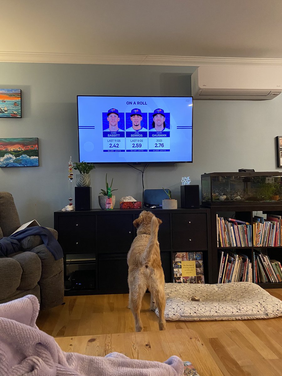 WilesBell's tweet photo. My dog, Archie, is #BlueJays fan. https://t.co/76V5igijCp
