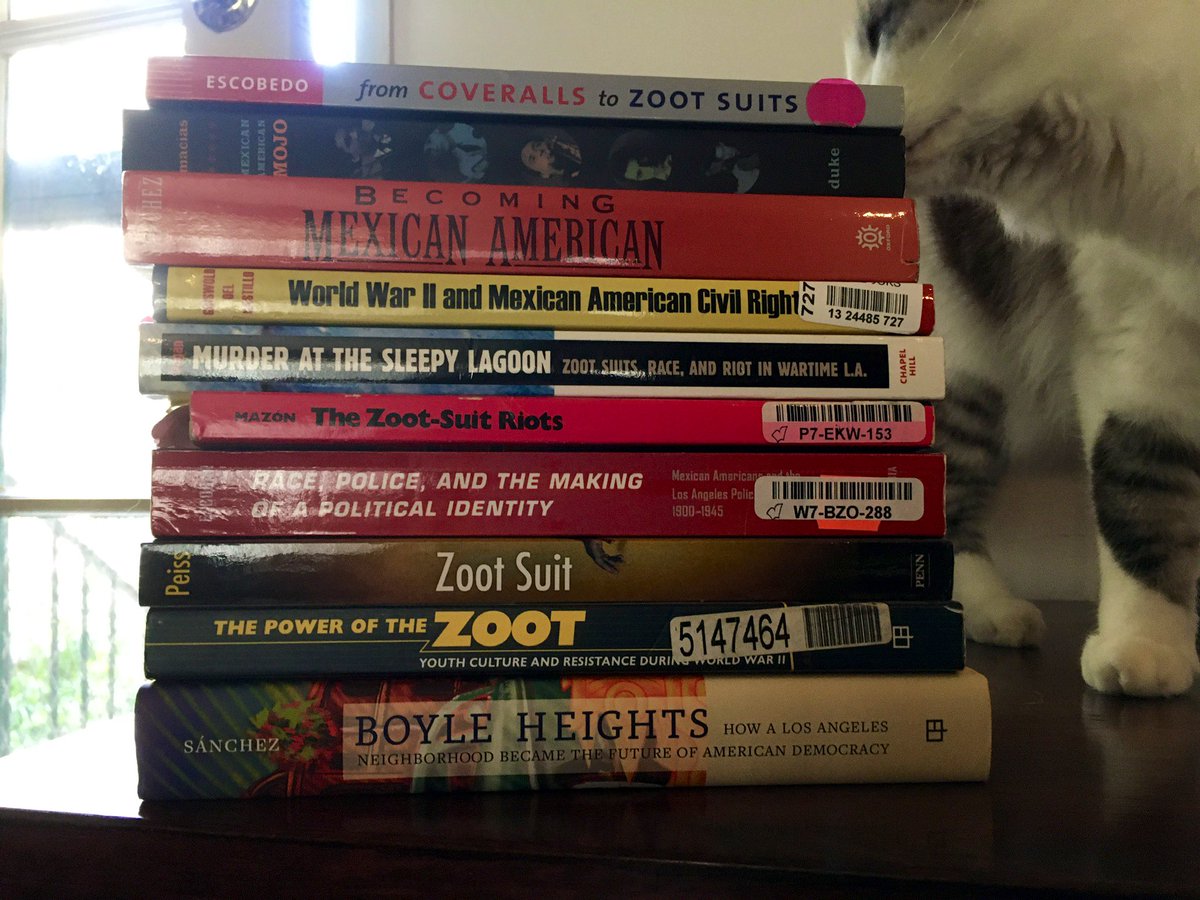 Monica Zepeda tweet media