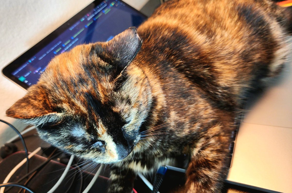 spooky said she'd help with the code samples for the talk. lgtm no comments #dcsf23