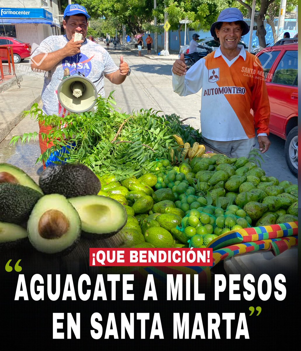 gairateinforma's tweet image. #QueBendición 🙏 ¡Aguacates a mil pesos en Santa Marta! Campesinos de Minca le dan gracias a Dios por esta gran cosecha de Aguacates, en Gaira los vendedores ya empiezan a venderlos a $1.000 pesos. 👉 facebook.com/10007104604233…