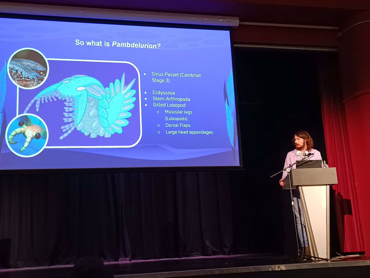 CampbellMHPaleo's tweet image. Giving my talk @ProgPal2023 on the oral cone of one of my favourite animals of the Cambrian Explosion, Pambdelurion,; the loathsome gilled lobopod of Greenland’s Sirius Passet.