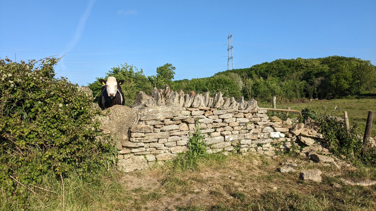 Rebecca Hughes tweet media