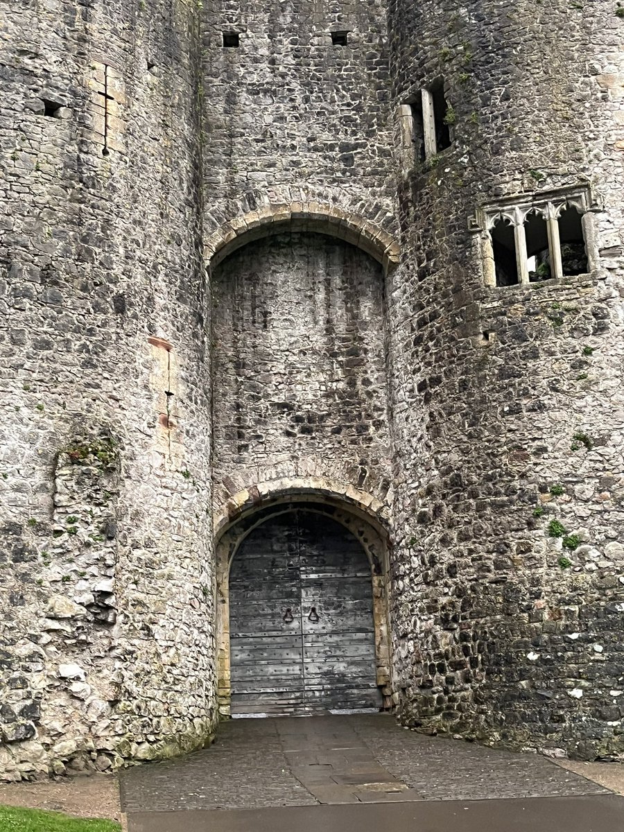 蛙自閉症🐸🧩 tweet media