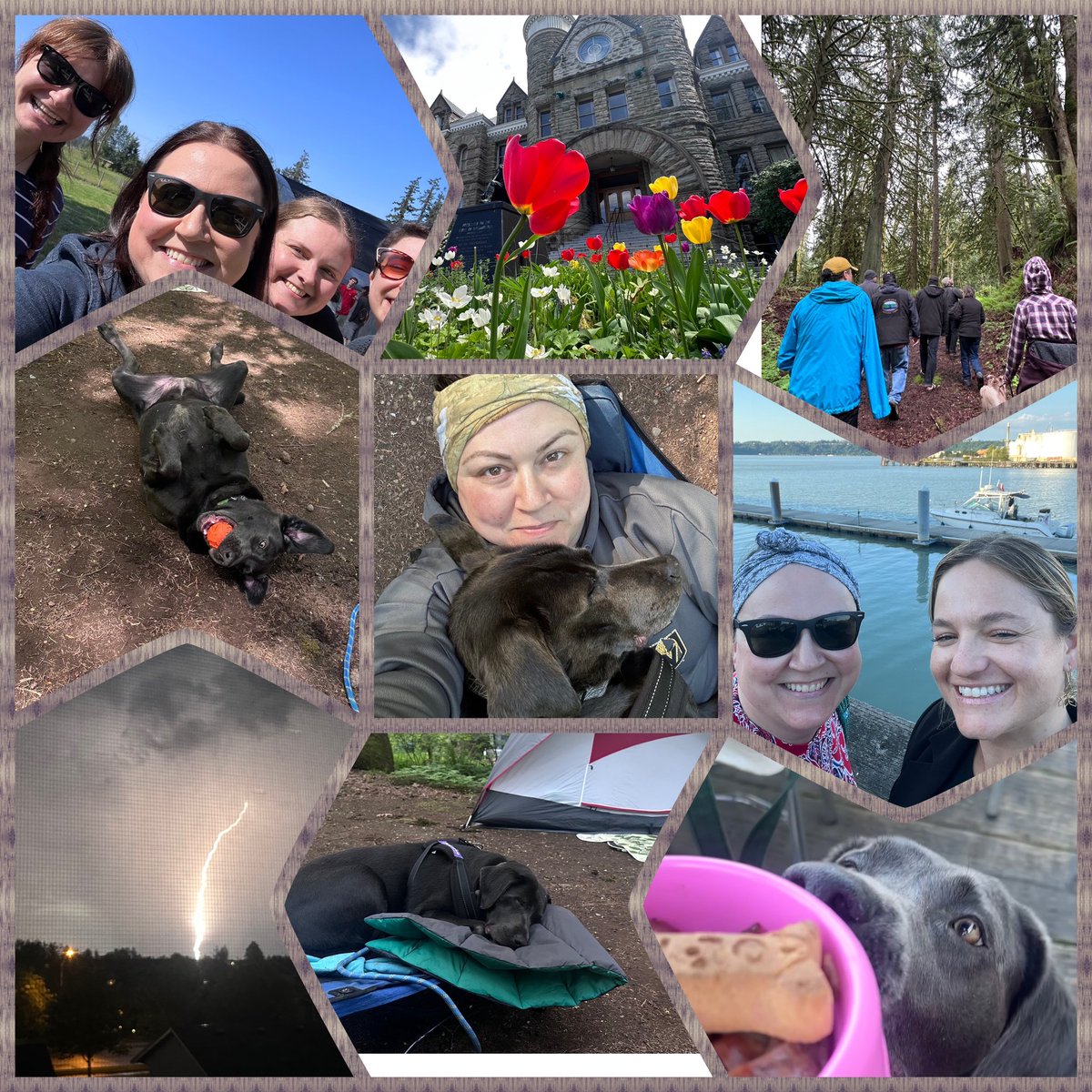 I’m only 3 days late this time! 
Month 11 in Washington ✅ 

Lots of adventures, friends, and even some 🌩️ Thankful it’s not so cold anymore and there seems to be daylight just about all the time 😂☀️ 

I’m also listing my 🏠 in Vegas next month and am looking to purchase in WA