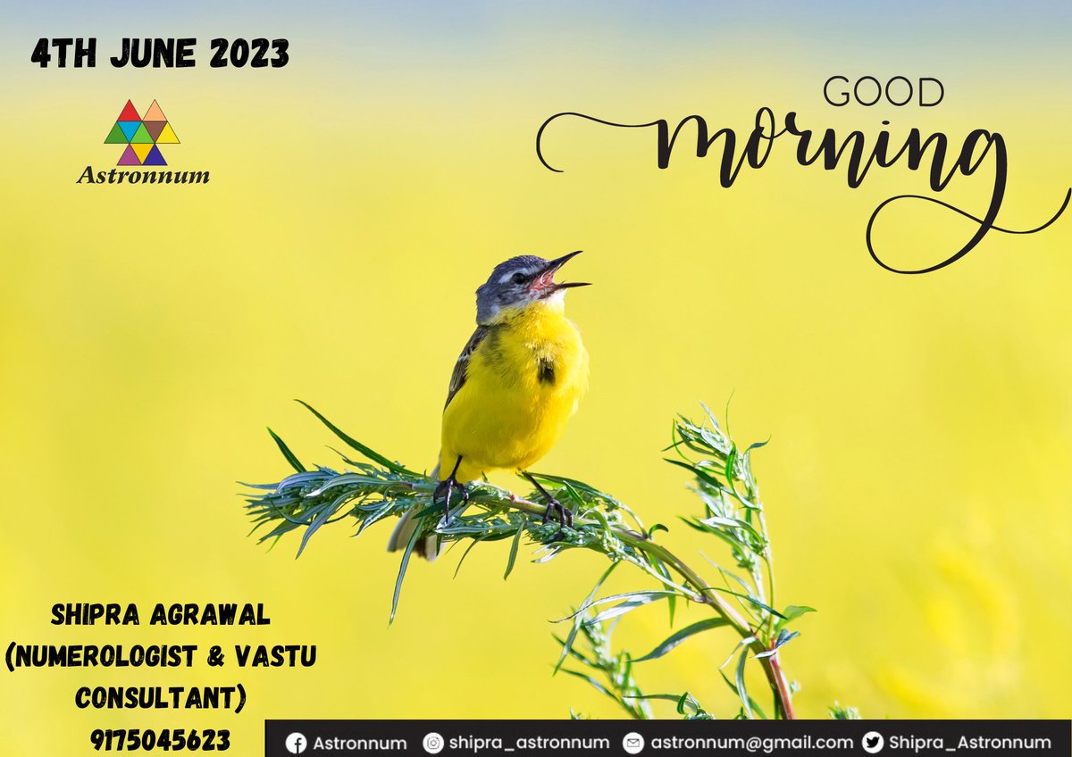 GOOD MORNING ☀️

#ShipraAgrawal
#Astronnum
#numerologist
#vastuconsultant 
#goodmorning 
#goodmorningeveryone
#goodmorningpost
#goodmorningindia
#newday
#newstart
#newbeginning
#happymorning
#HappyDay
#Sunday
#sundaysunrise
#sunshine
#newdawn