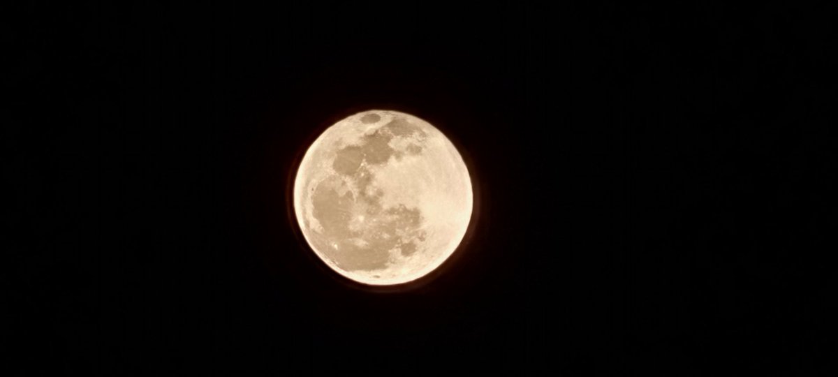 PsychedEra's tweet photo. @crypyogirl That's awesome. 💜

This is what you get when you have a Samsung phone. The latest phones can zoom 3X more than this. 🤌

It would have me spying on @AltMomTrades and @N3WMoonOrg once they send stuff to the moon. https://t.co/J3scLThZS1