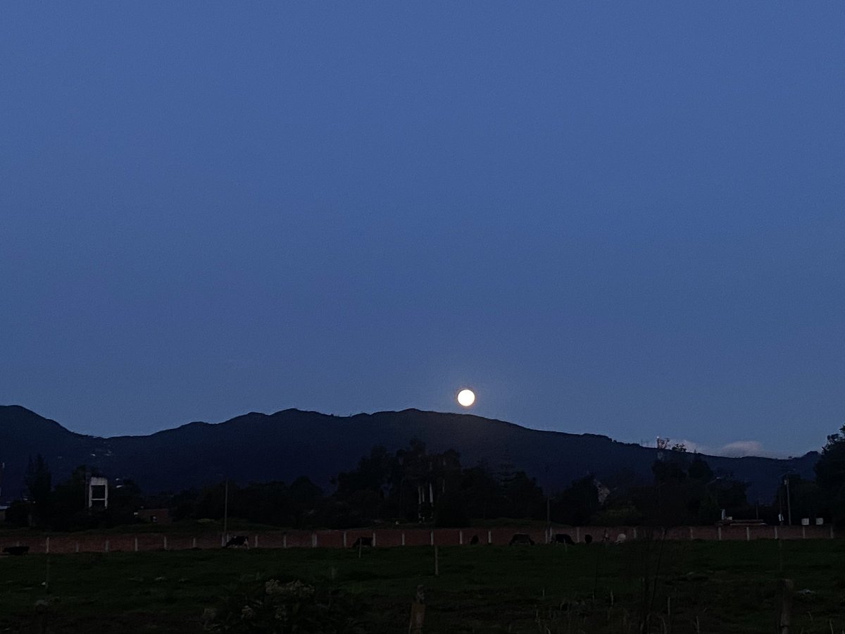 Mucha pepa e luna bella la de hoy!