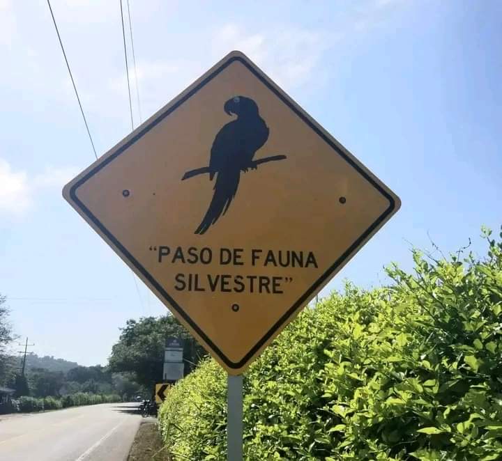 InformaCosmos's tweet photo. Señales de tránsito en Colombia https://t.co/lxAl493R3e
