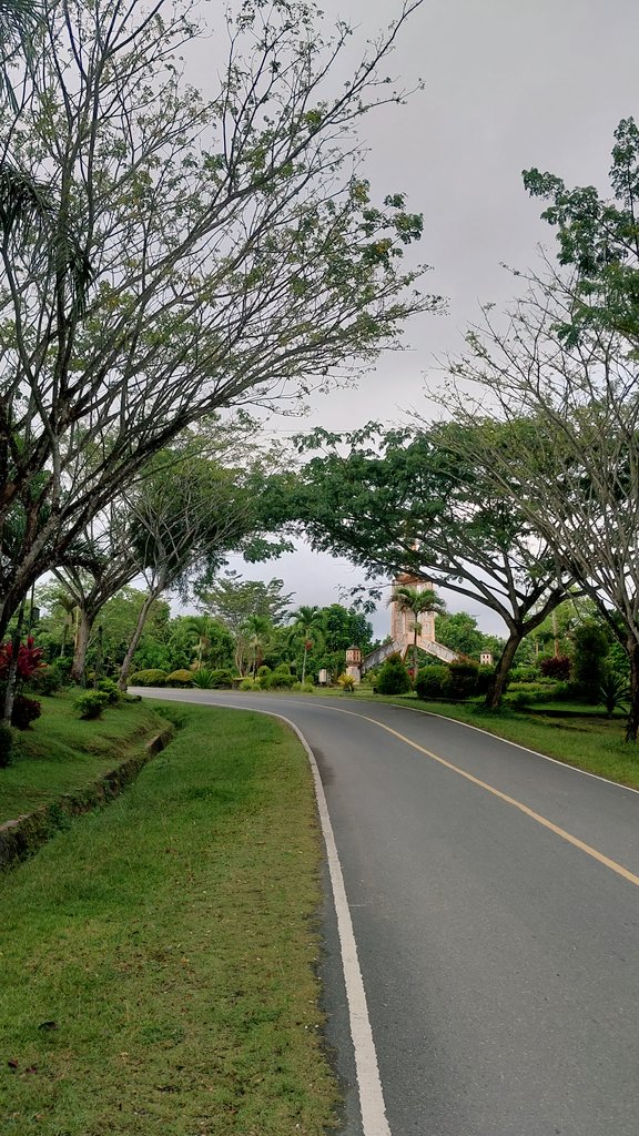 snrjannah's tweet photo. 💚☘️🌳 https://t.co/3cFQhuniX2