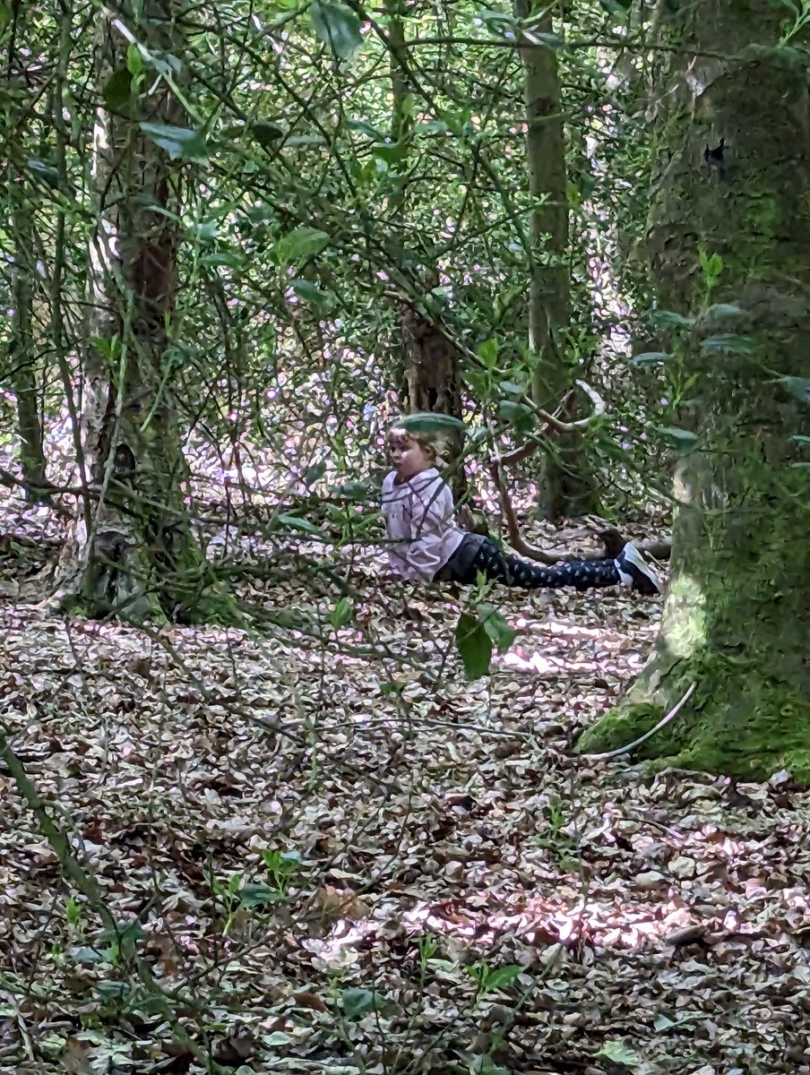 HorshamBertie's tweet photo. 3 of our Human badgers are having the time of their lives at #regionalbadgercamp  playing camouflage in the woods, crate stacking and flying, making edible magic wands, playing dragon dash, cooking dapper bread and sausages on the fire, making pizza eating jelly and ice-cream! https://t.co/Z6MbK36vFB