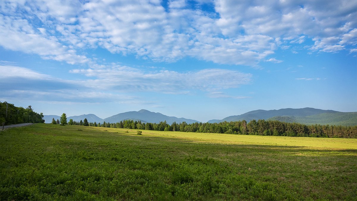 WildAdks's tweet photo. Algonquin Peak from the Adirondack Loj Road, Essex County, NY (2 June 2023). https://t.co/fwjQg8orOK
#adirondackmountains #algonquinpeak #SpringWatchAdirondacks #SpringWatchAdk #adirondackhighpeaks https://t.co/GyJJrAT0Qa