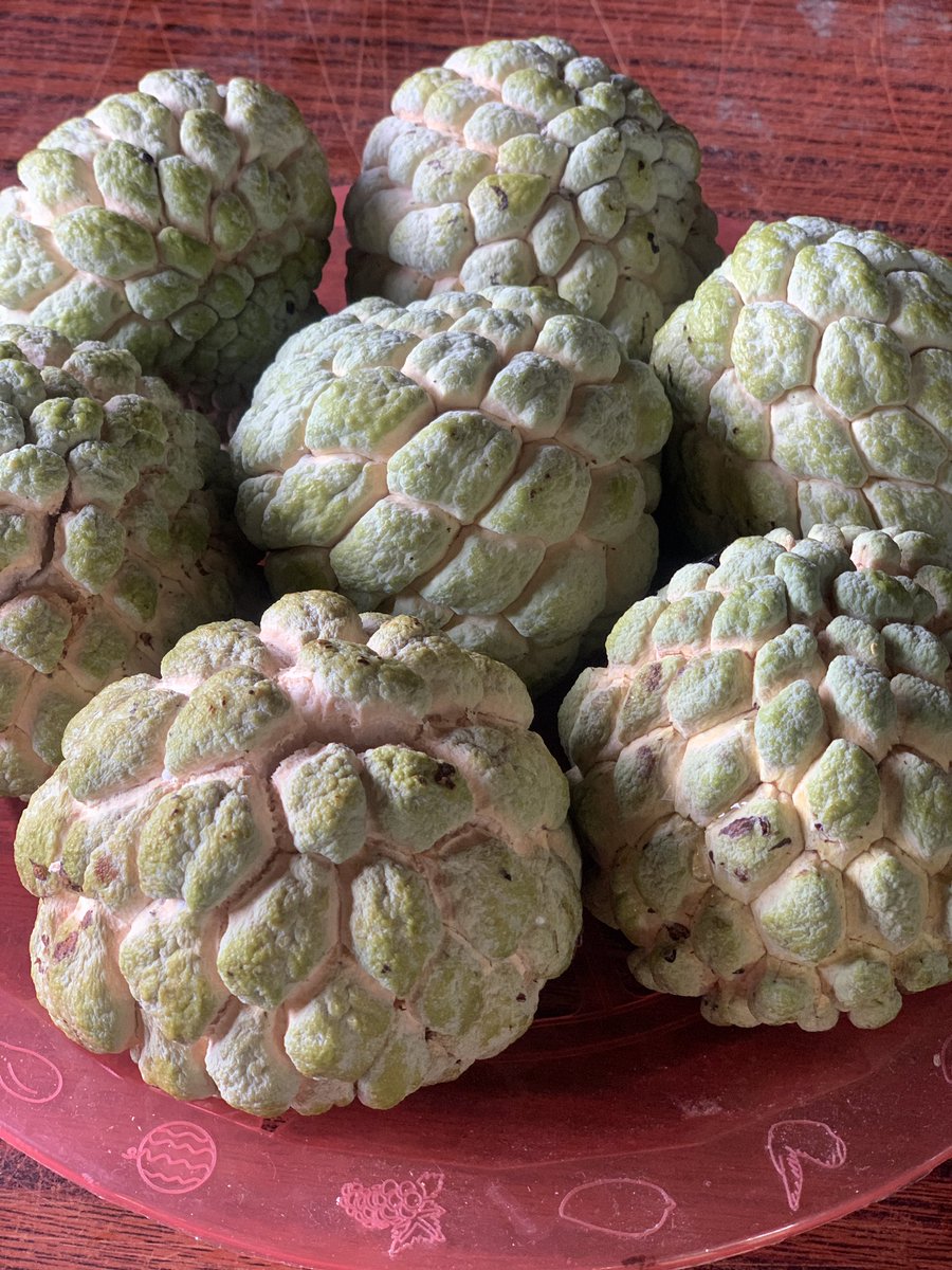 kakampai🍻 tweet media