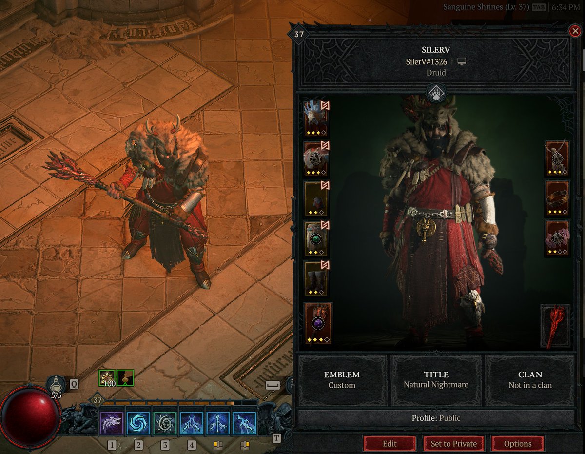 SilerVanguard's tweet photo. @Diablo Having a blast so far! https://t.co/diepBQmKAX