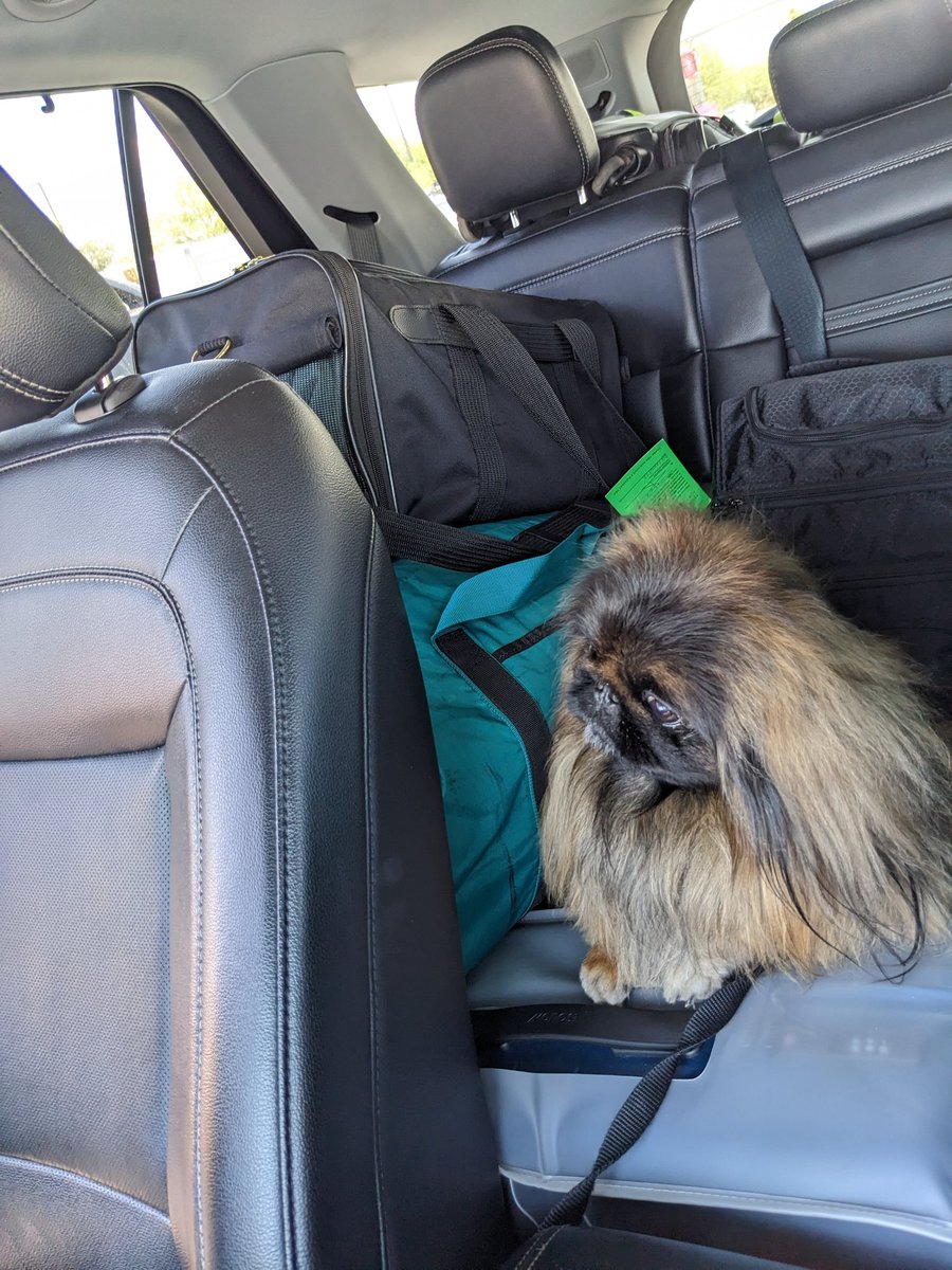 Julio Fernandez tweet media